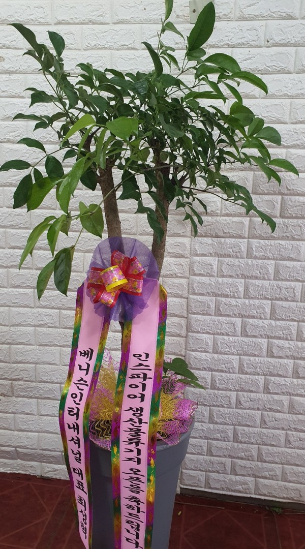 업로드 이미지