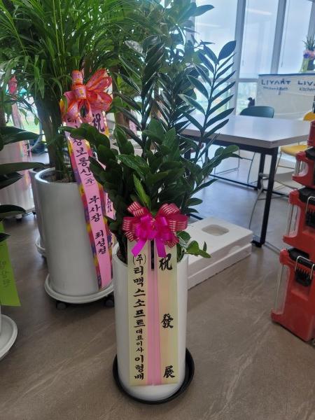 업로드 이미지