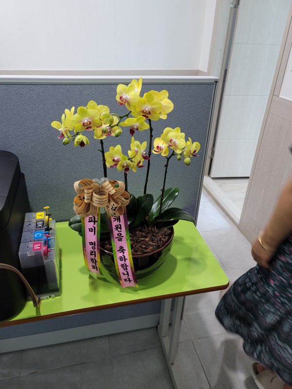 업로드 이미지