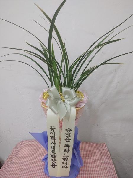 업로드 이미지