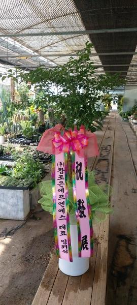 업로드 이미지