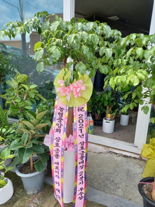 업로드 이미지