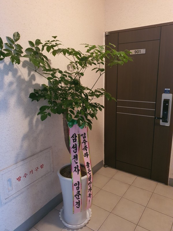 업로드 이미지