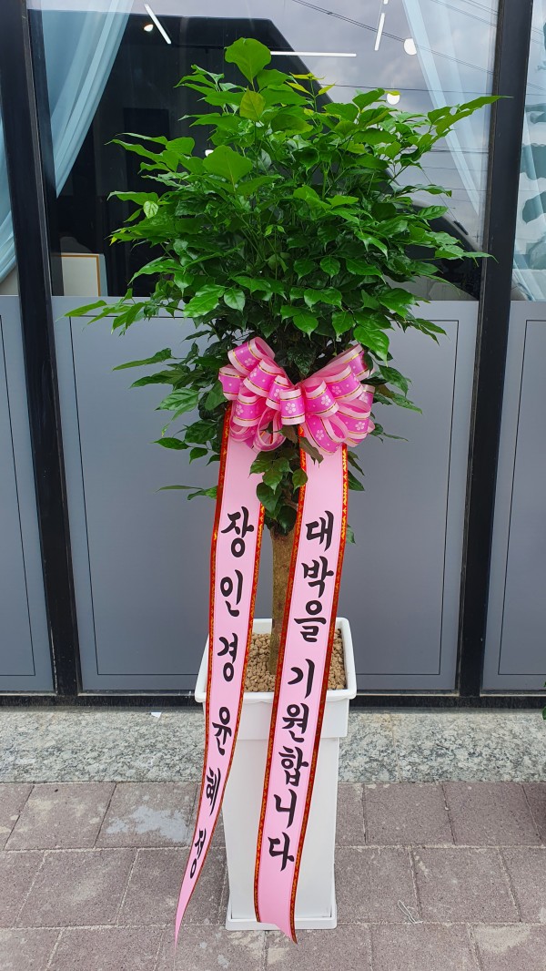 업로드 이미지