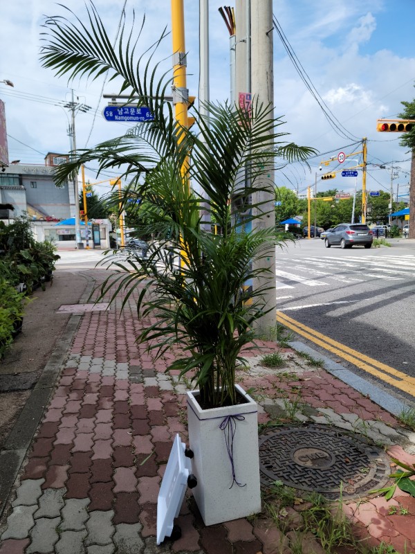 업로드 이미지