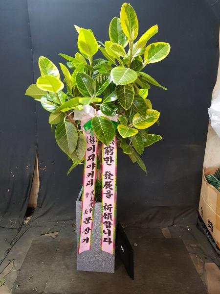 업로드 이미지