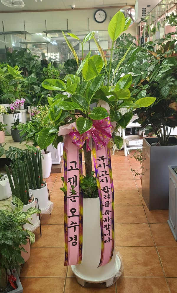 업로드 이미지