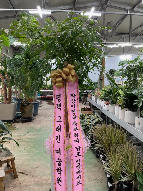 업로드 이미지