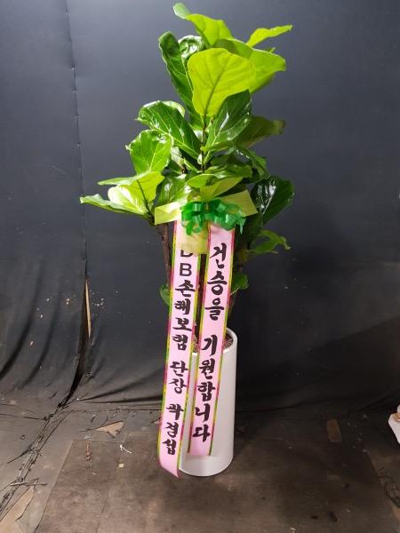 업로드 이미지