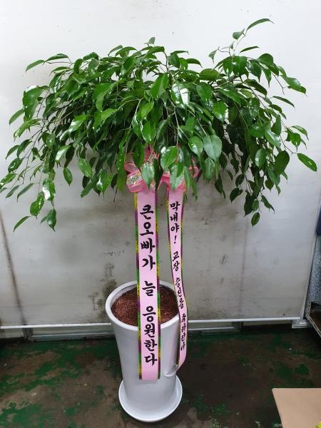 업로드 이미지