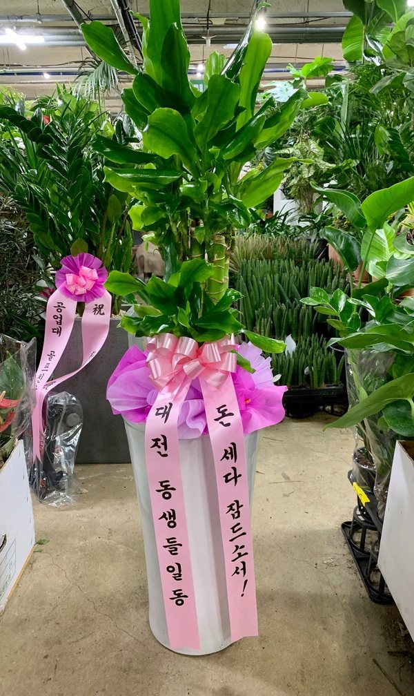 업로드 이미지
