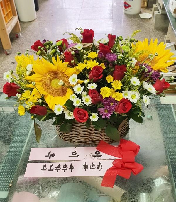 업로드 이미지