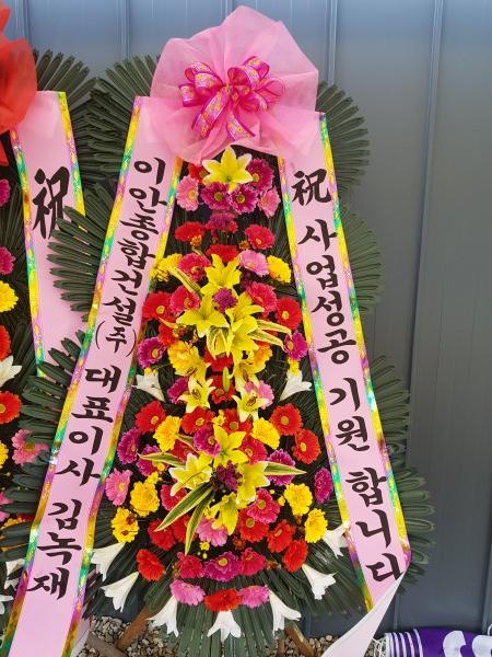 업로드 이미지