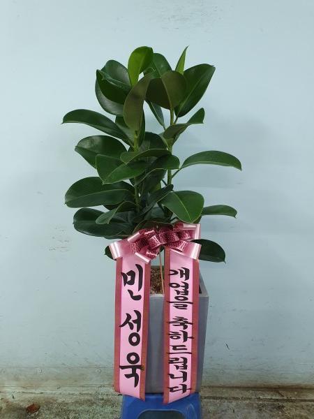 업로드 이미지