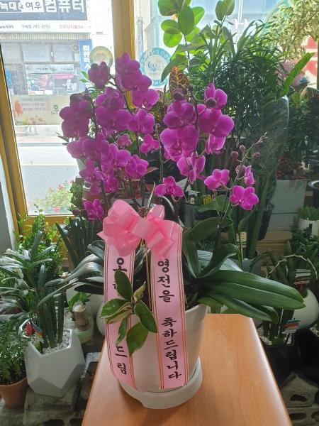 업로드 이미지