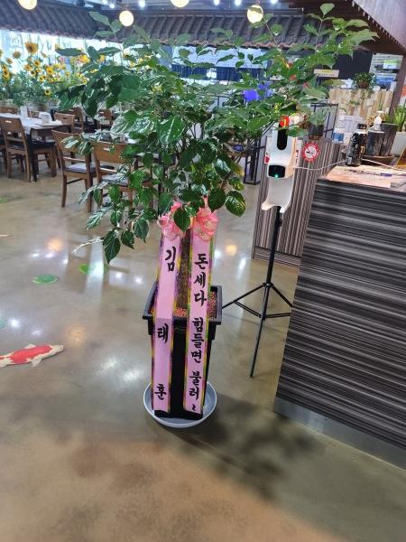 업로드 이미지