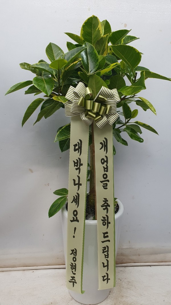 업로드 이미지