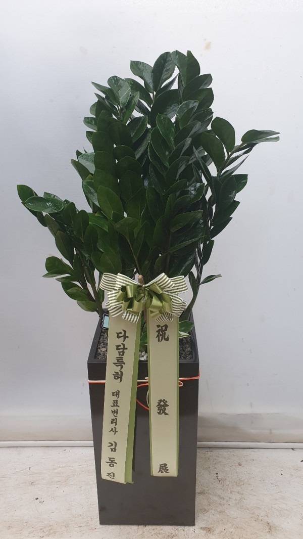 업로드 이미지