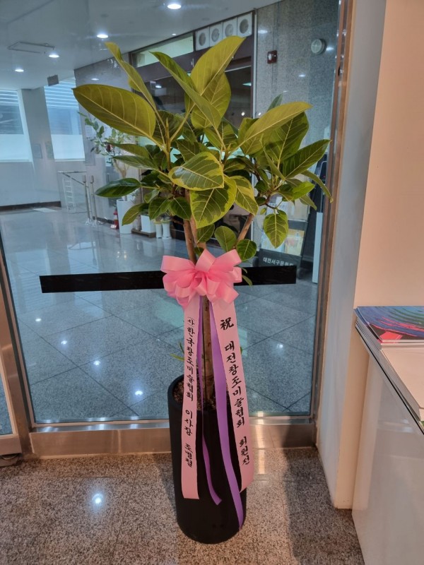 업로드 이미지