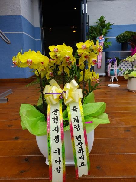 업로드 이미지