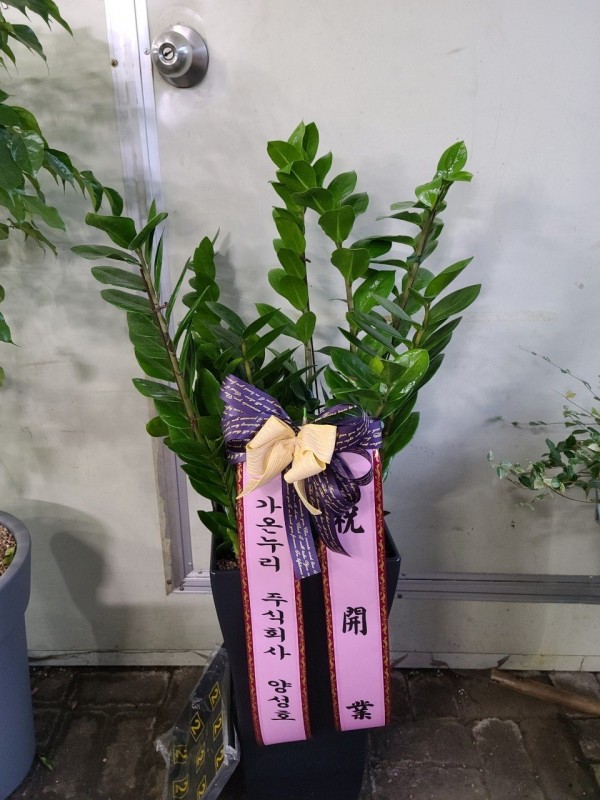 업로드 이미지