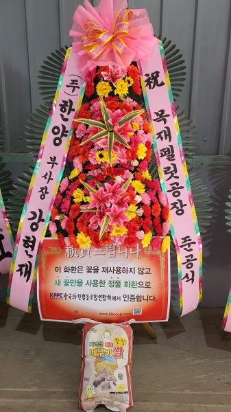 업로드 이미지
