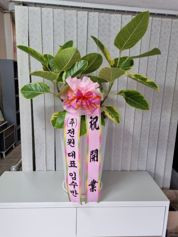업로드 이미지