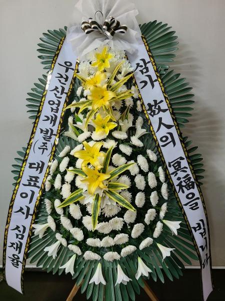 업로드 이미지