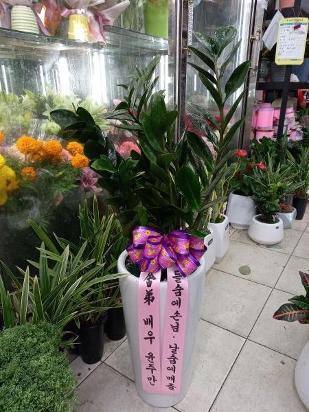 업로드 이미지