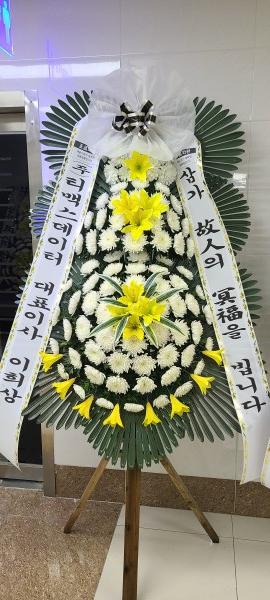 업로드 이미지