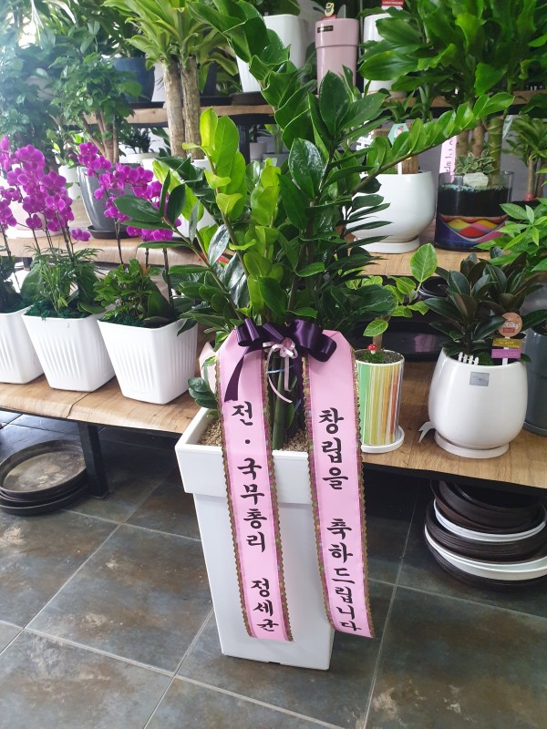업로드 이미지