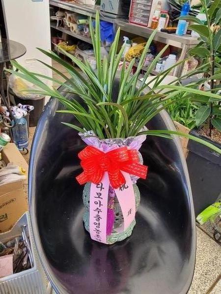 업로드 이미지