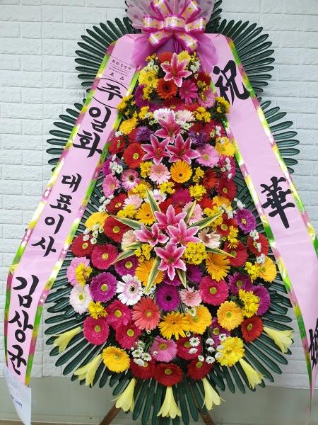 업로드 이미지