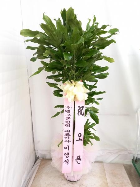 업로드 이미지