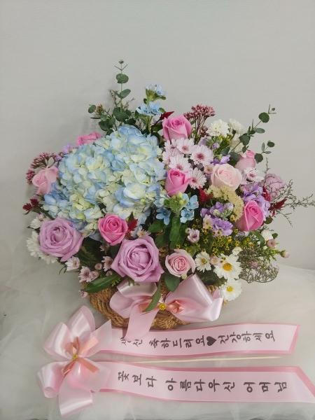 업로드 이미지