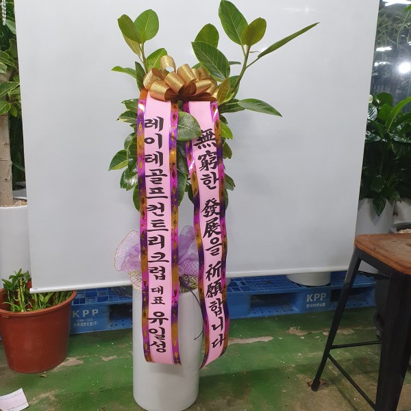 업로드 이미지