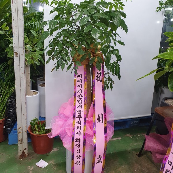 업로드 이미지
