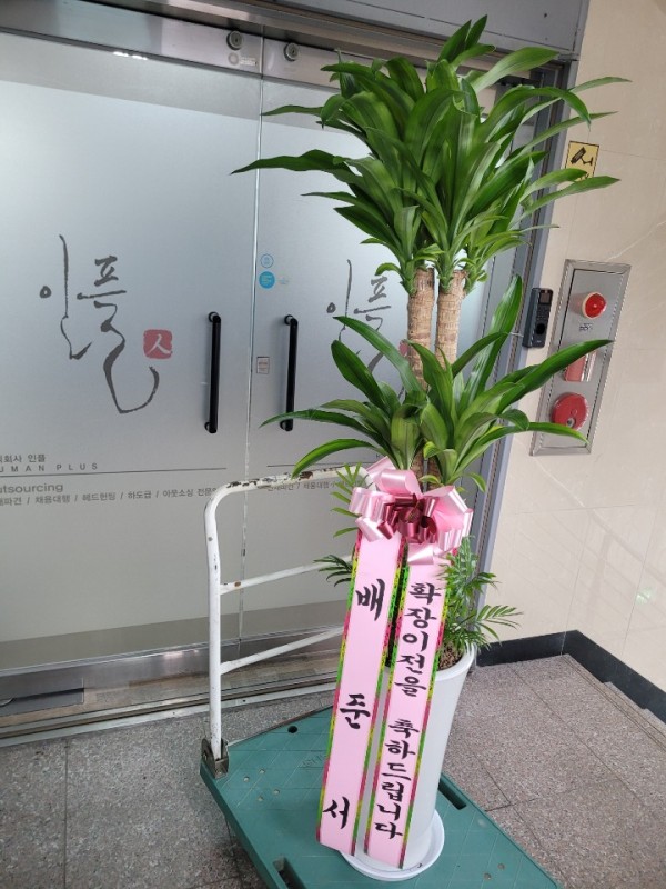업로드 이미지