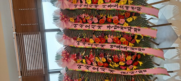 업로드 이미지
