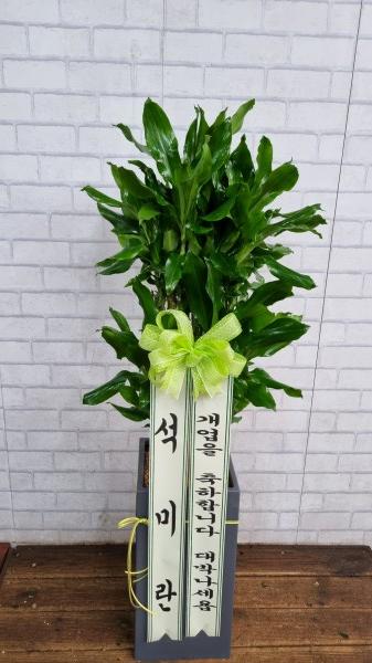 업로드 이미지