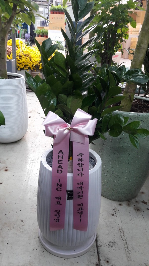 업로드 이미지