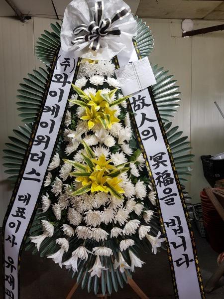 업로드 이미지