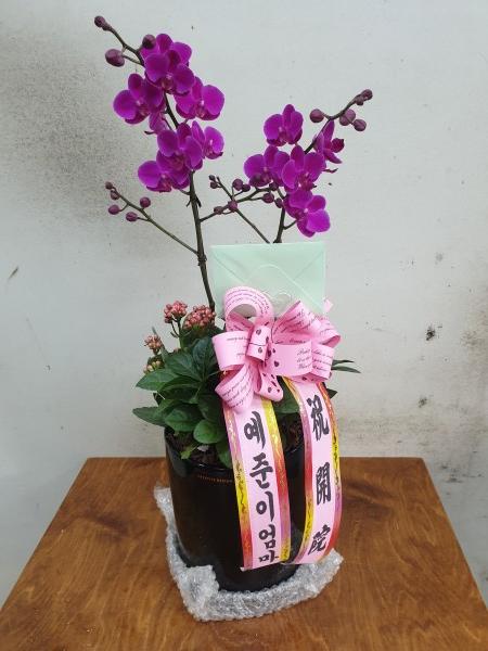 업로드 이미지