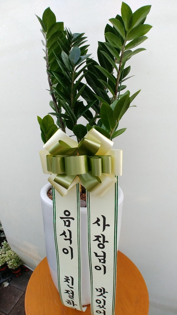 업로드 이미지