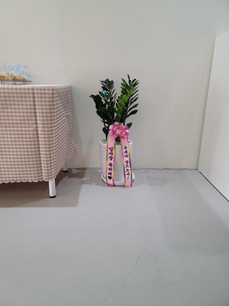 업로드 이미지