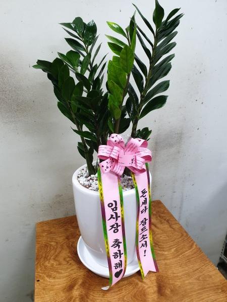 업로드 이미지