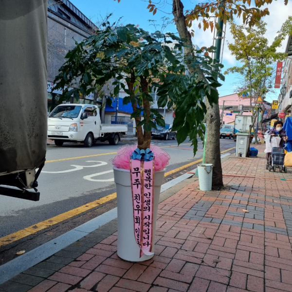 업로드 이미지