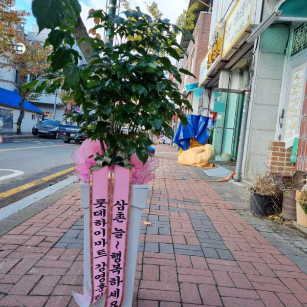 업로드 이미지