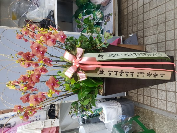 업로드 이미지