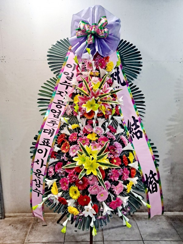 업로드 이미지